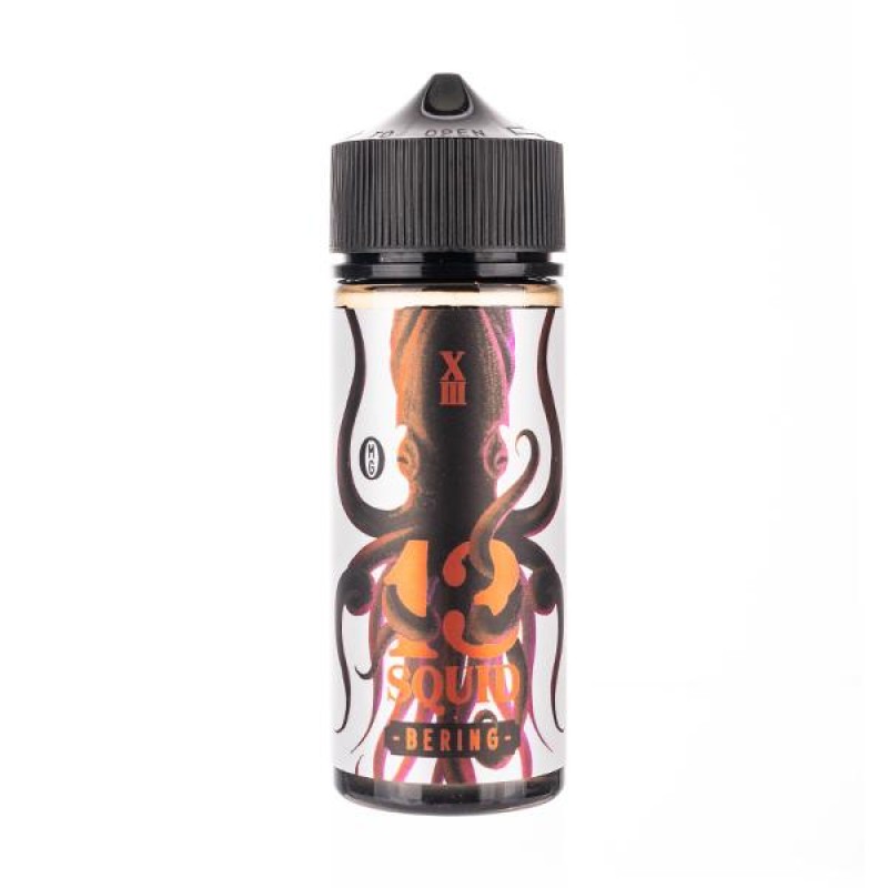 Bering 100ml Shortfill E-Liquid by 13 Squid